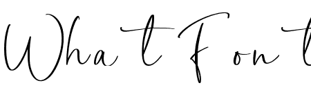 Miamo Script