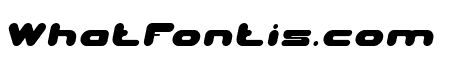 Evergreen Italic