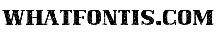 Magnum Capital