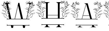 Secret Leaves Line Monogram