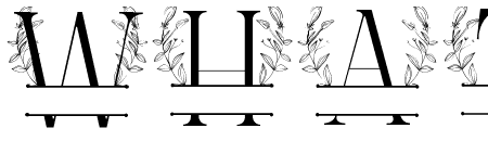Lily Buds Line Monogram