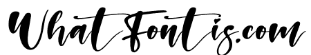 Holiday Italic