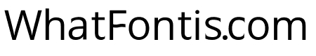 Studio Baked Sans