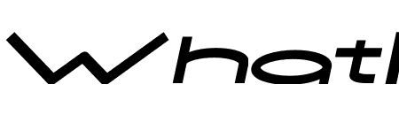 NEOGEO EXTENDED MEDIUM ITALIC