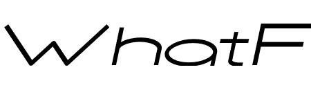 NEOGEO WIDE LIGHT ITALIC