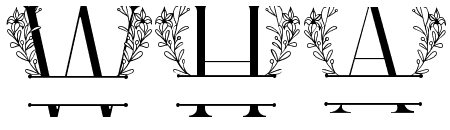 Lily Floral Line Monogram