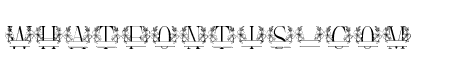 Beauty Magnolia Line Monogram