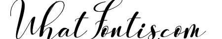 The Christmas Vibe Italic