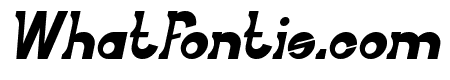 Little Cowboy Bold Italic
