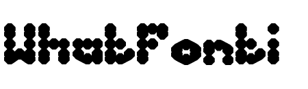 PHENOMENON Bold