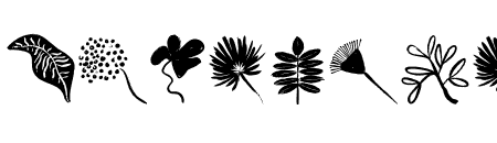 Hand Drawn Plants