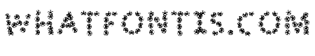 Flowers Stylish Fonts Regular