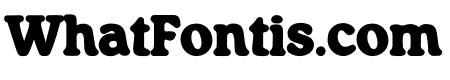 Generation 1970 Bold