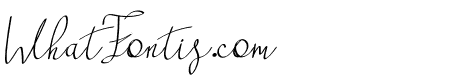 Ameliatina Italic Bold