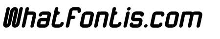 The Happiness Bold Italic