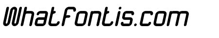 The Happiness Italic
