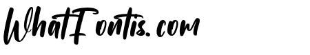 Subcultures
