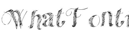 Conte Regular