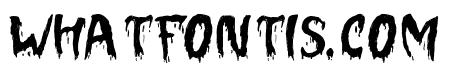 HALLOWEEN NEW