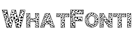 JT Leopard Six