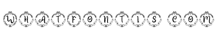 HaniChristmasMonogram-Regular