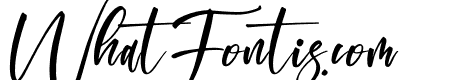 Registeria Italic