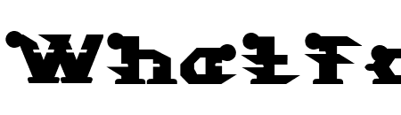 STARGAZER Bold
