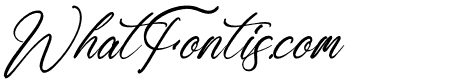 Ronald Mendoya Italic
