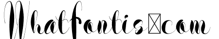 The Black Mamba Bold Italic