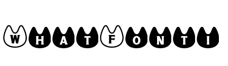 NN Cat2