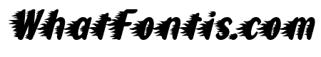 Flashe Italic