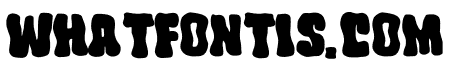 Wocke Funky