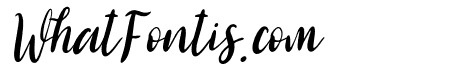 Biglove Italic Italic