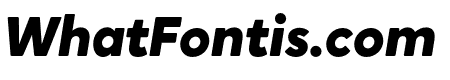 CrosstenSoft-Blackitalic