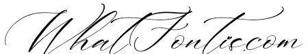 Katelyn Marila Italic