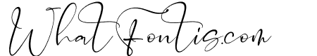 Catalistefa Signature Italic