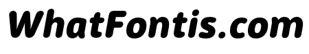 SaldaSoft-BlackIt