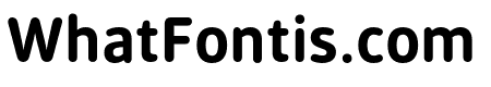 SaldaSoft-Bold