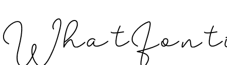 Filosofia Script