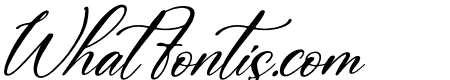Monttany Castelone Italic