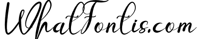 Setup Bold Italic