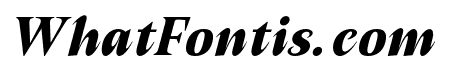 NativeTxt-BoldItalicItalic