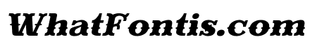 Evereast Slab-Western Italic