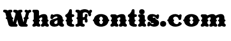 Evereast Western-Edge Bold Bold