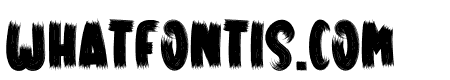 CARTOON NEW
