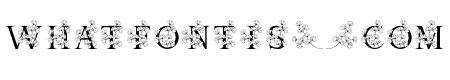 Monogram Natasha