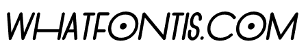 THE HOUSE Italic