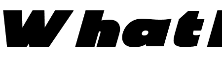 PERFORM GENERIC Italic