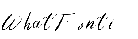 Niko Curt Script