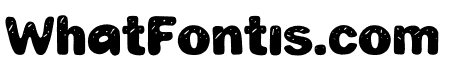 DANKI Bold